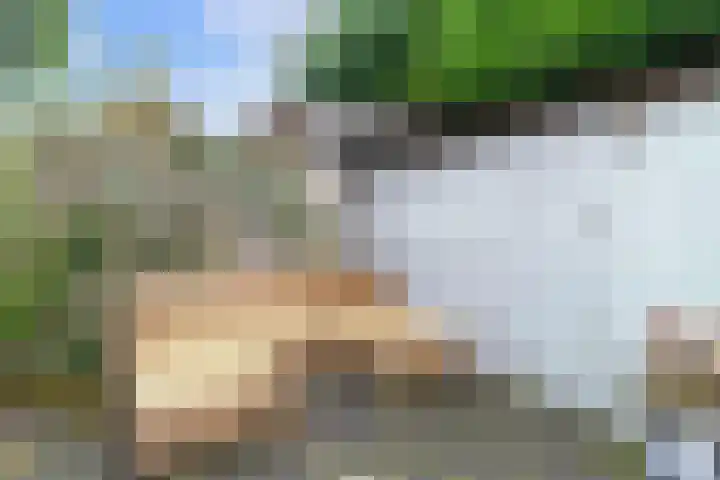 Waalsdorperlaan 23 Wassenaar thumbnail 17