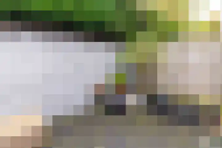 Waalsdorperlaan 23 Wassenaar thumbnail 18