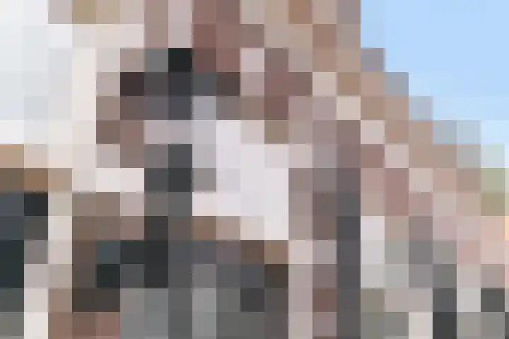 Waalsdorperlaan 23 Wassenaar thumbnail 5