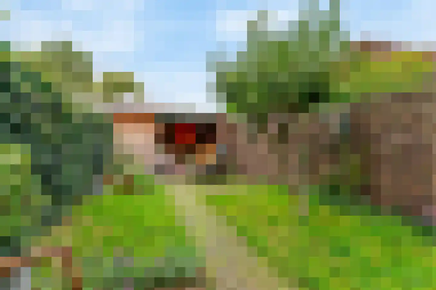 Waalsdorperlaan 25 Wassenaar thumbnail 13