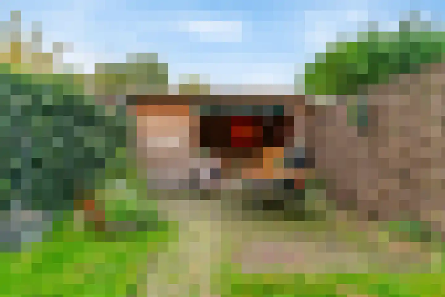Waalsdorperlaan 25 Wassenaar thumbnail 15