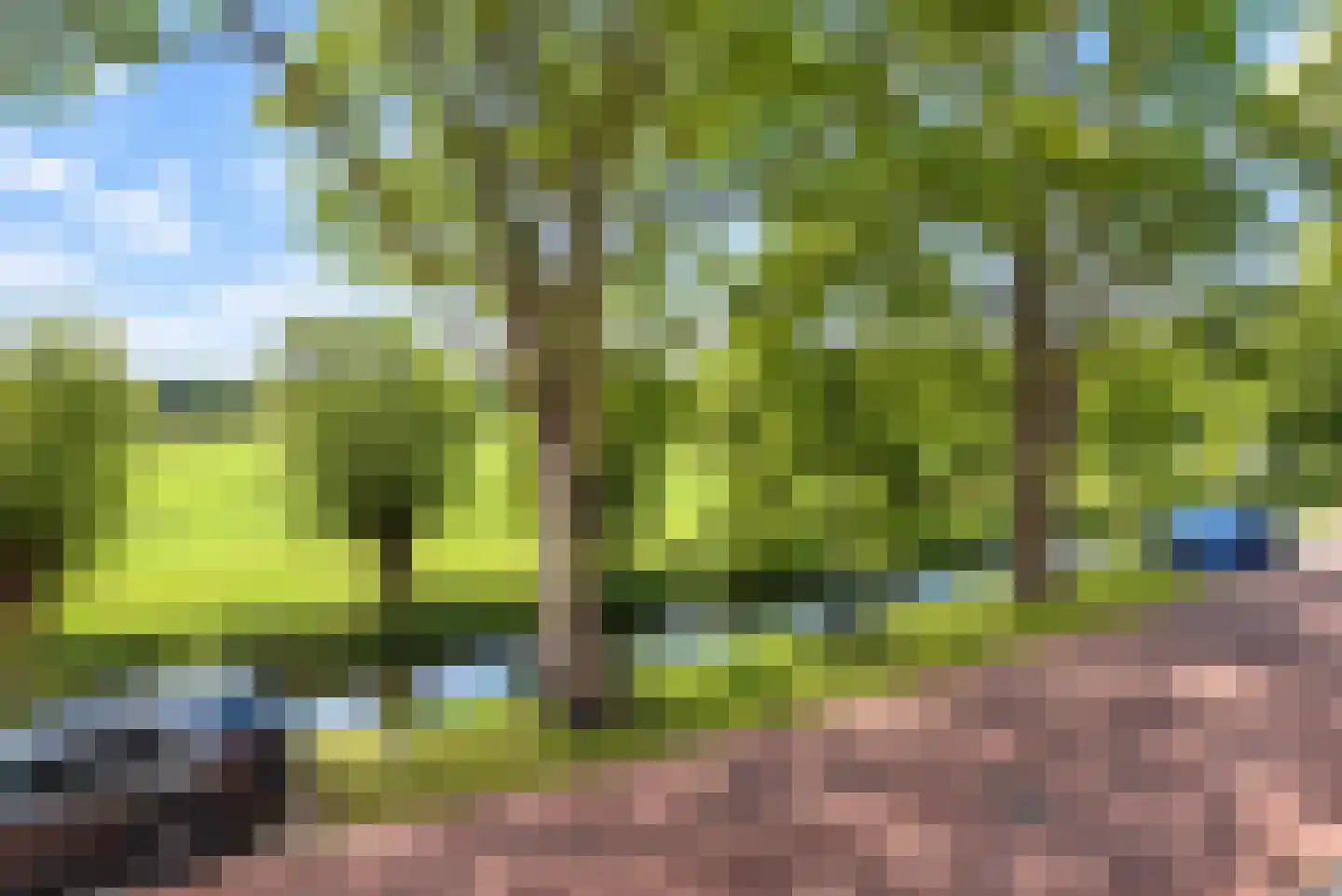 Waalsdorperlaan 25 Wassenaar thumbnail 30