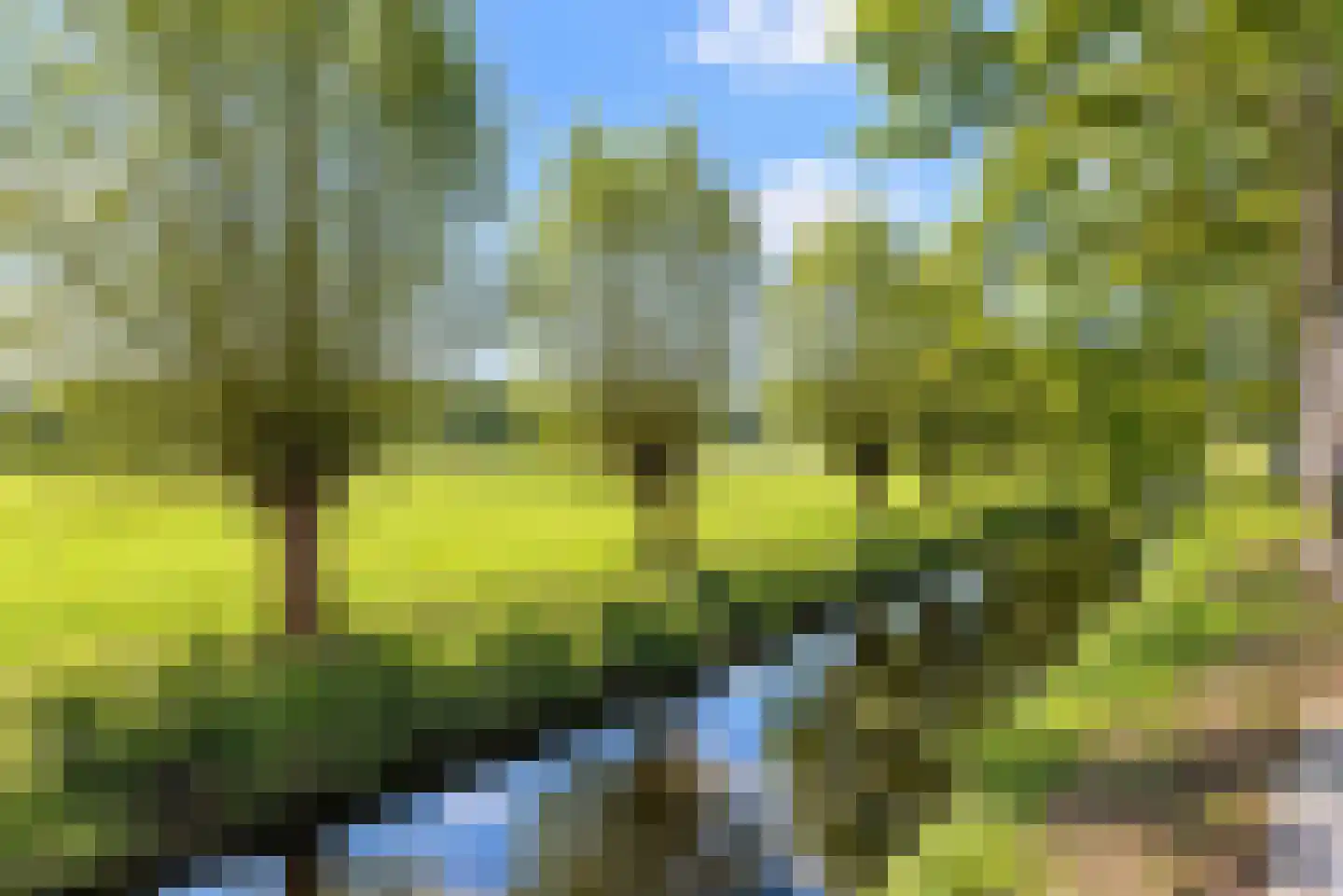 Waalsdorperlaan 25 Wassenaar thumbnail 31
