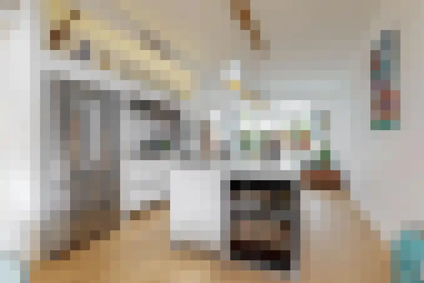 Waalsdorperlaan 25 Wassenaar thumbnail 5