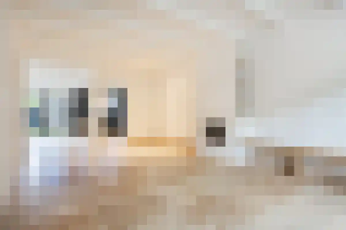 Waalsdorperlaan 3 Wassenaar thumbnail 4