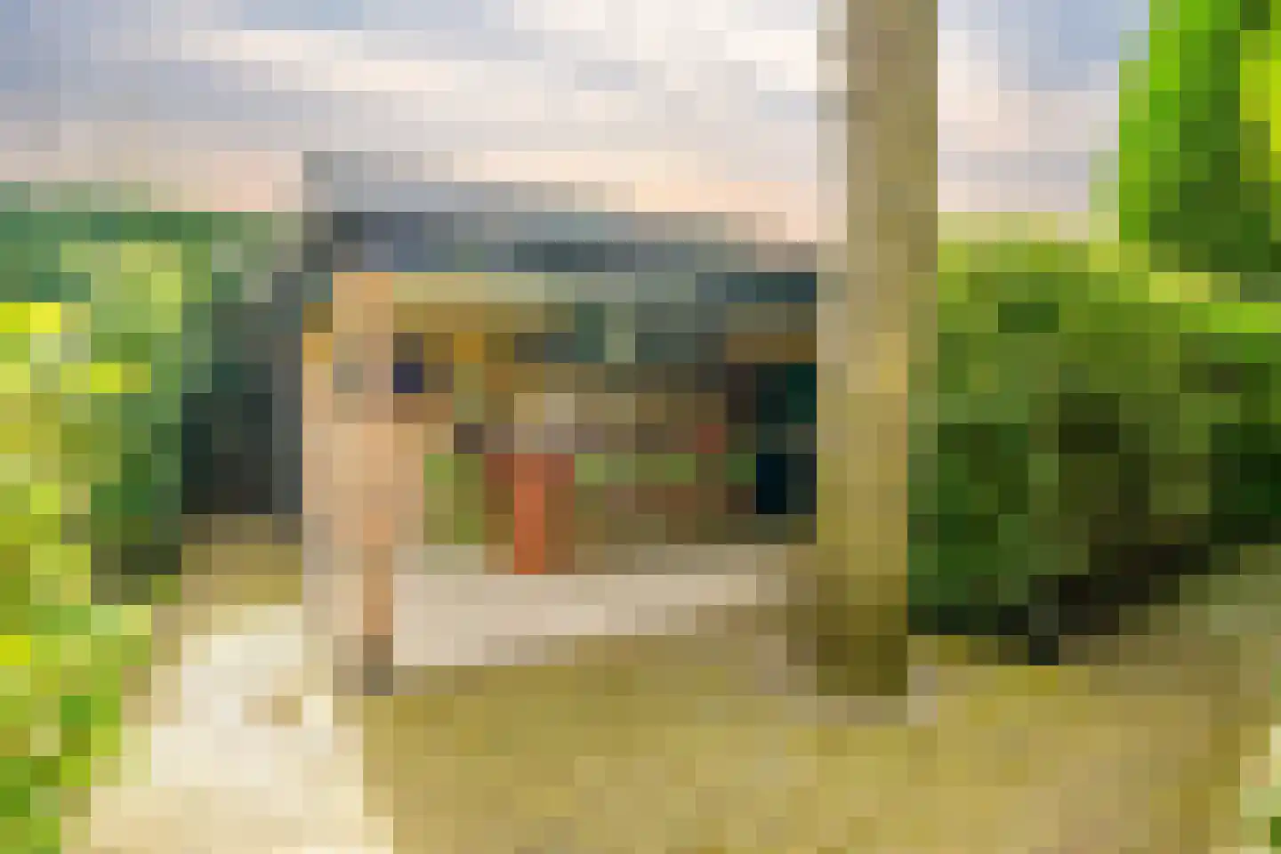 Waalsdorperlaan 42 Wassenaar thumbnail 15