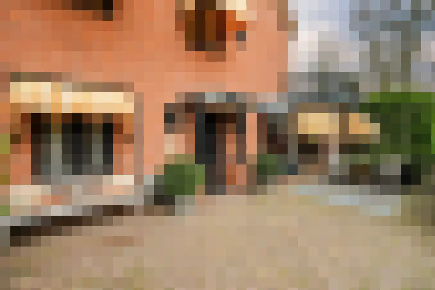 Waalsdorperlaan 42 Wassenaar thumbnail 5