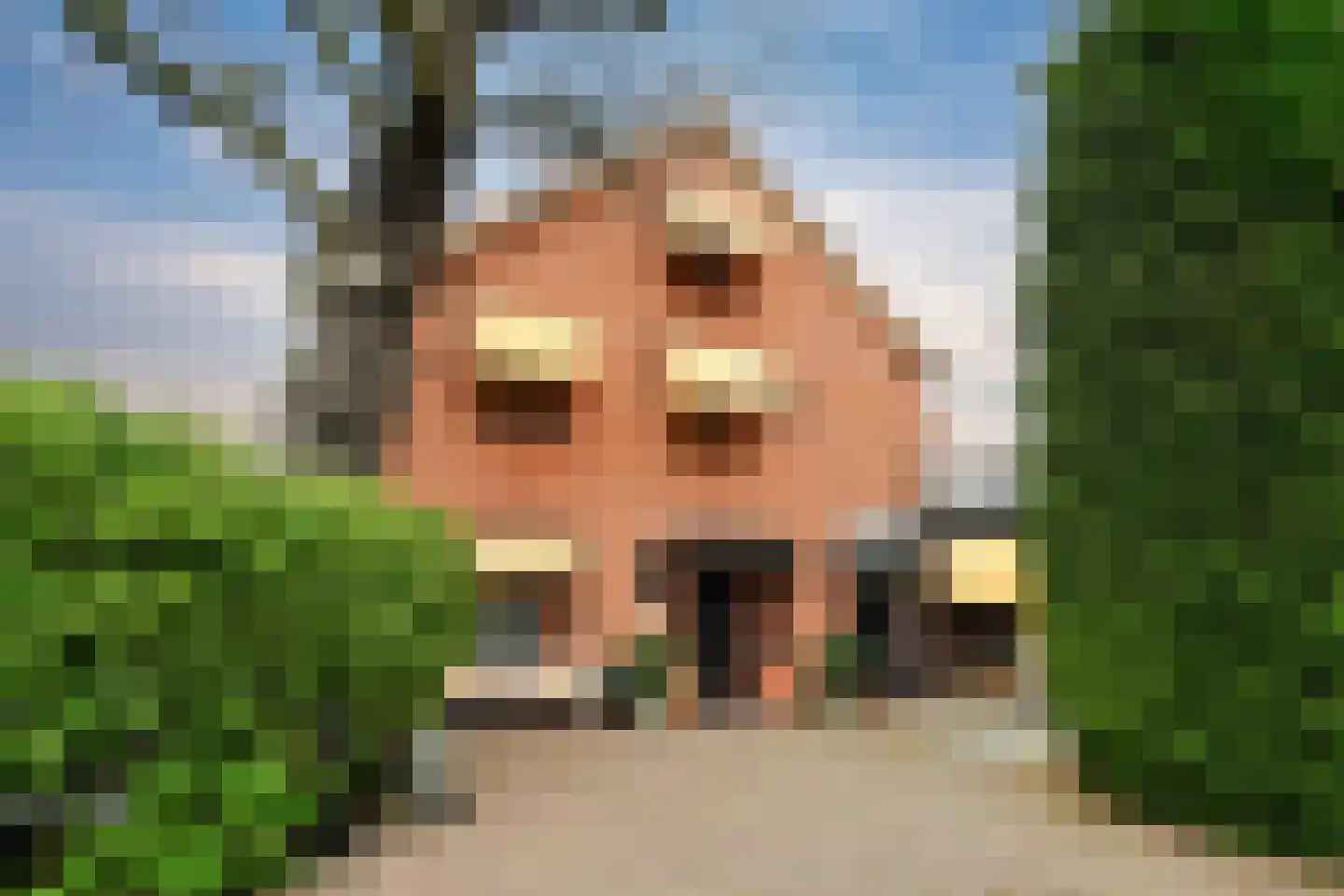 Waalsdorperlaan 42 Wassenaar thumbnail 59