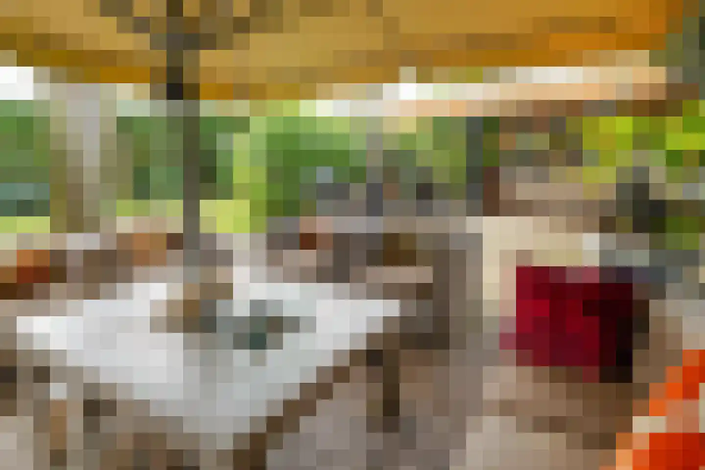 Waalsdorperlaan 42 Wassenaar thumbnail 7