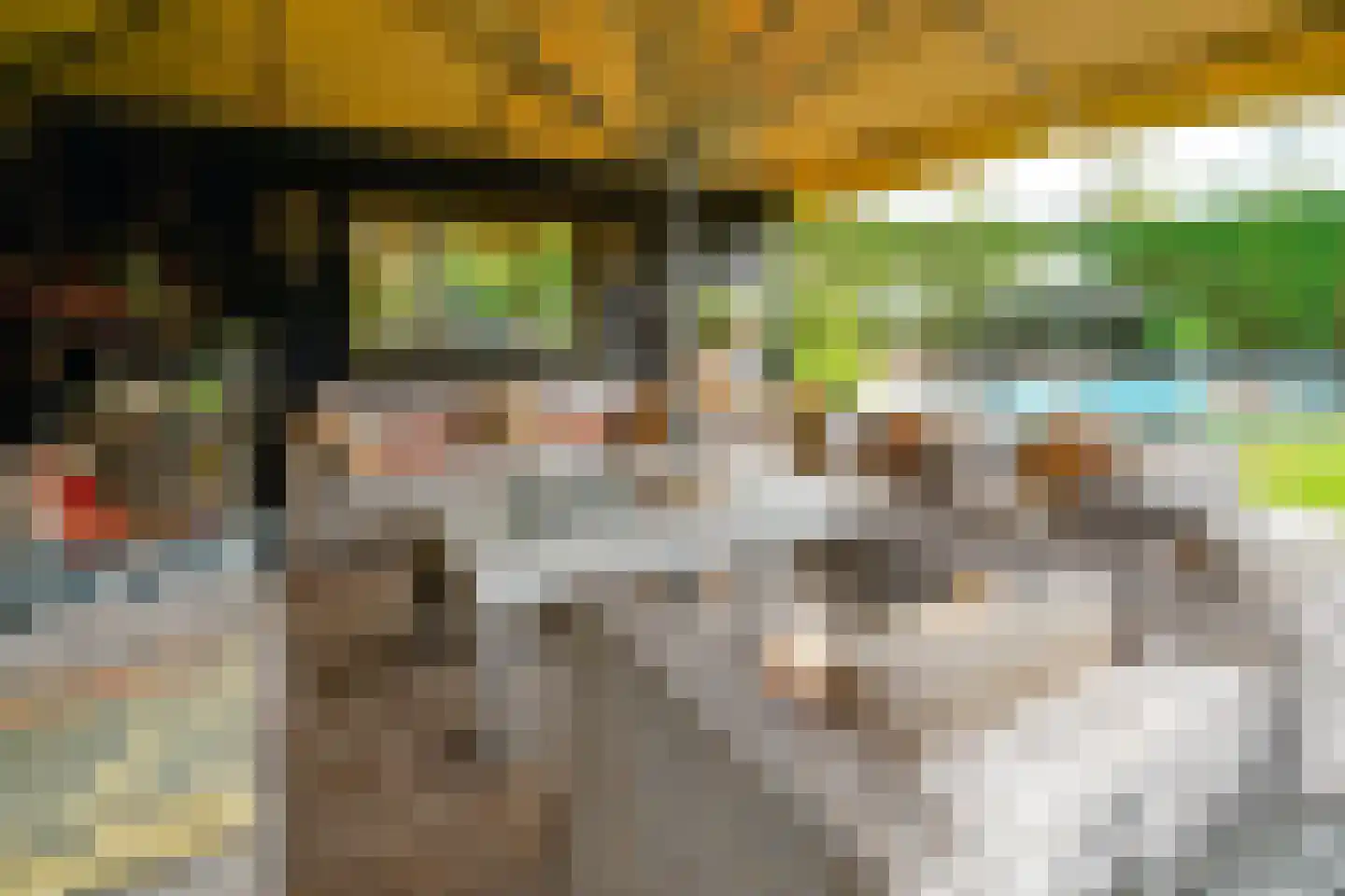 Waalsdorperlaan 42 Wassenaar thumbnail 8