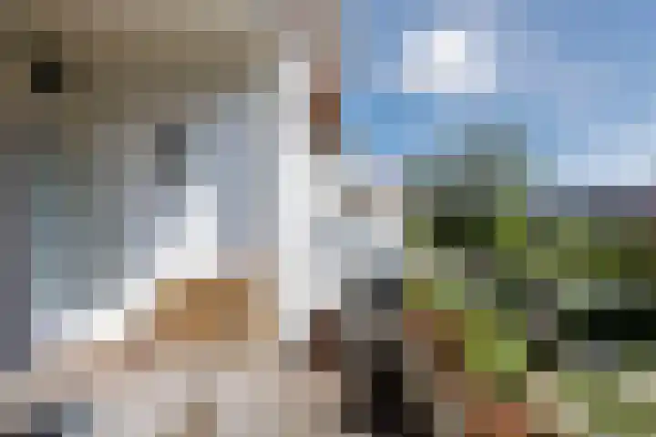 Waalsdorperweg 201 Den Haag thumbnail 4