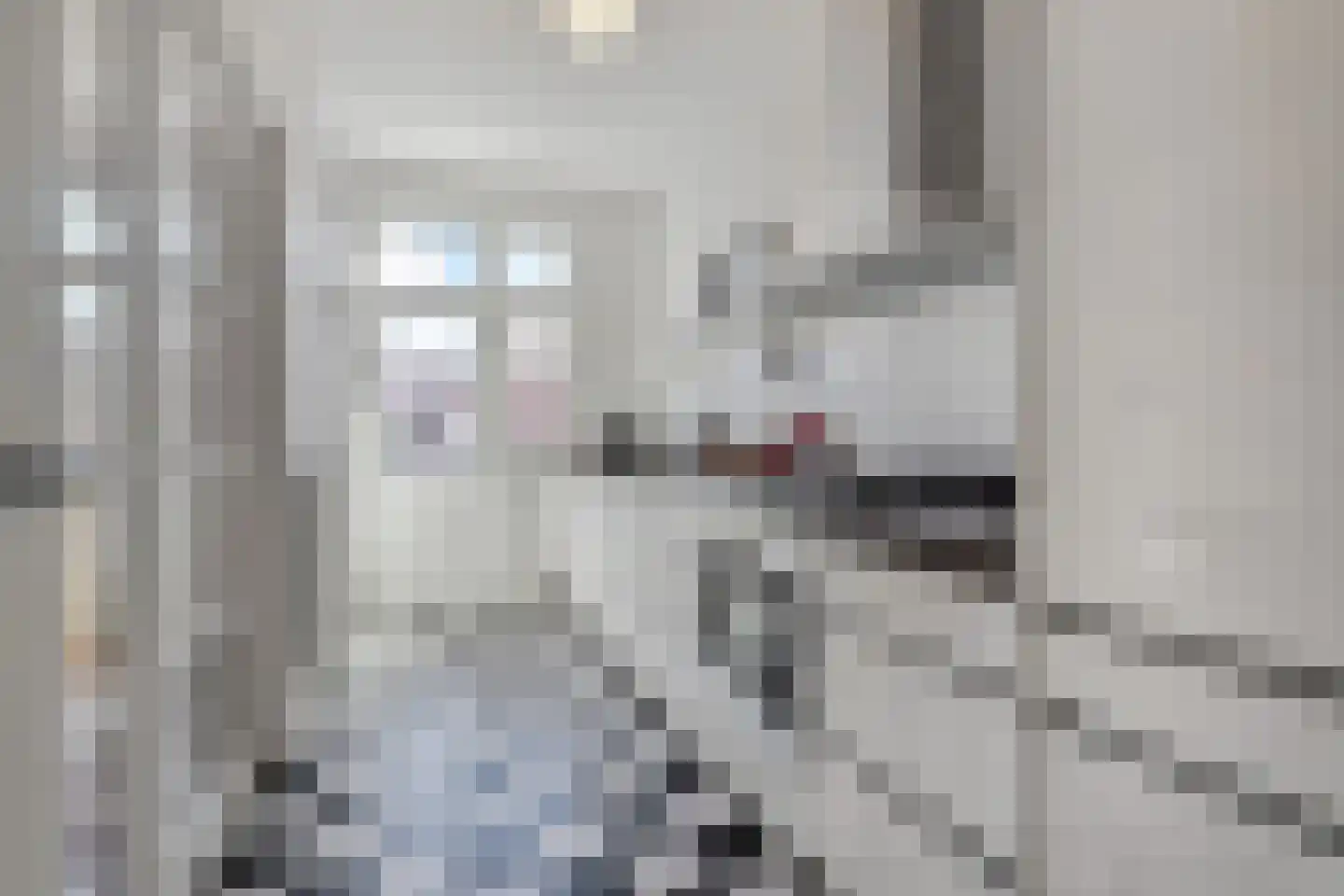 Waalsdorperweg 299 Den Haag thumbnail 4