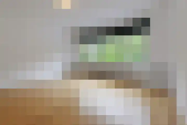 Waalsdorperweg 315 in Den Haag