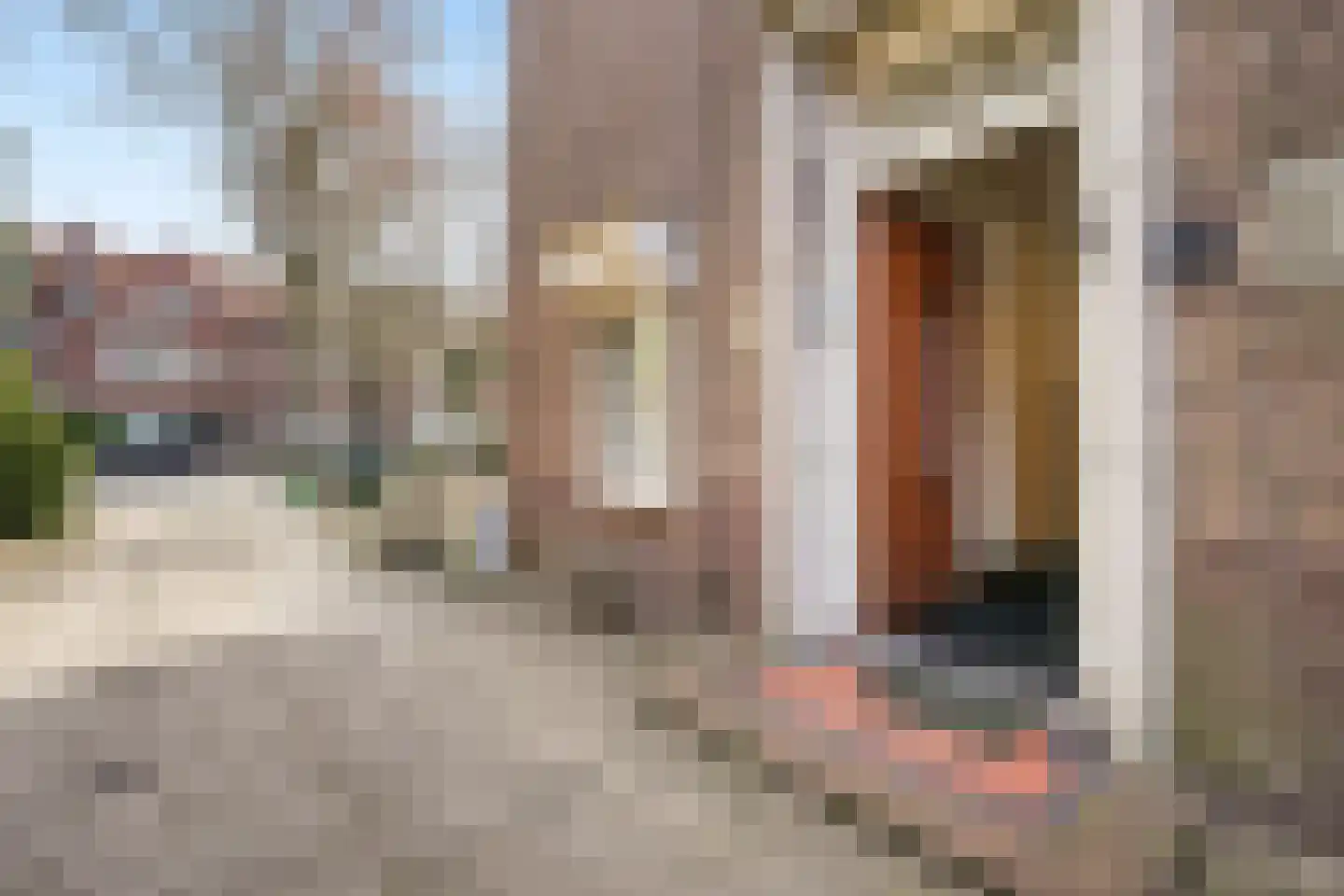 Waalsdorperweg 62 Den Haag thumbnail 10