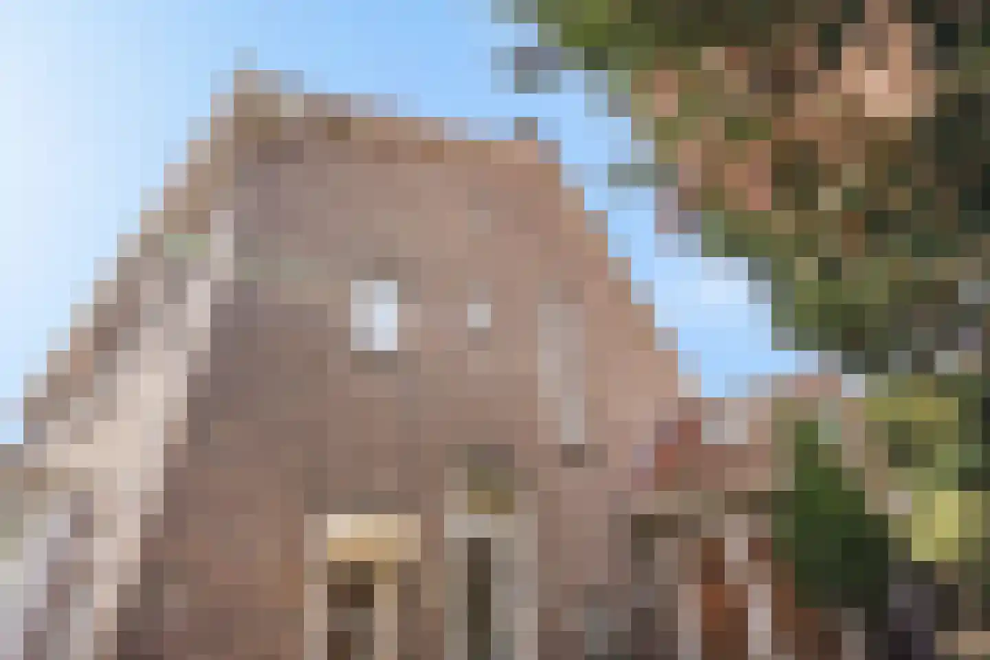 Waalsdorperweg 62 Den Haag thumbnail 6