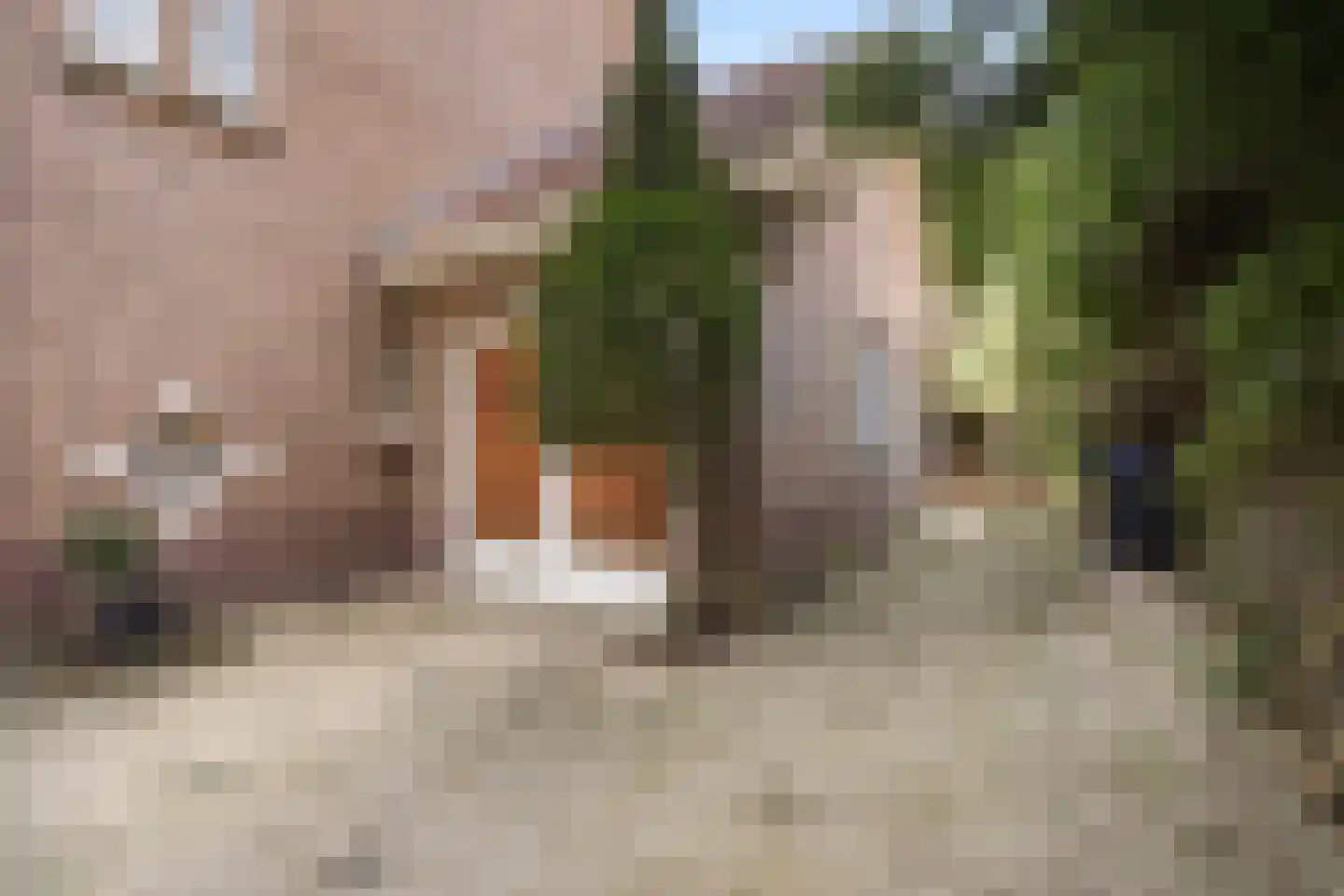 Waalsdorperweg 62 Den Haag thumbnail 8