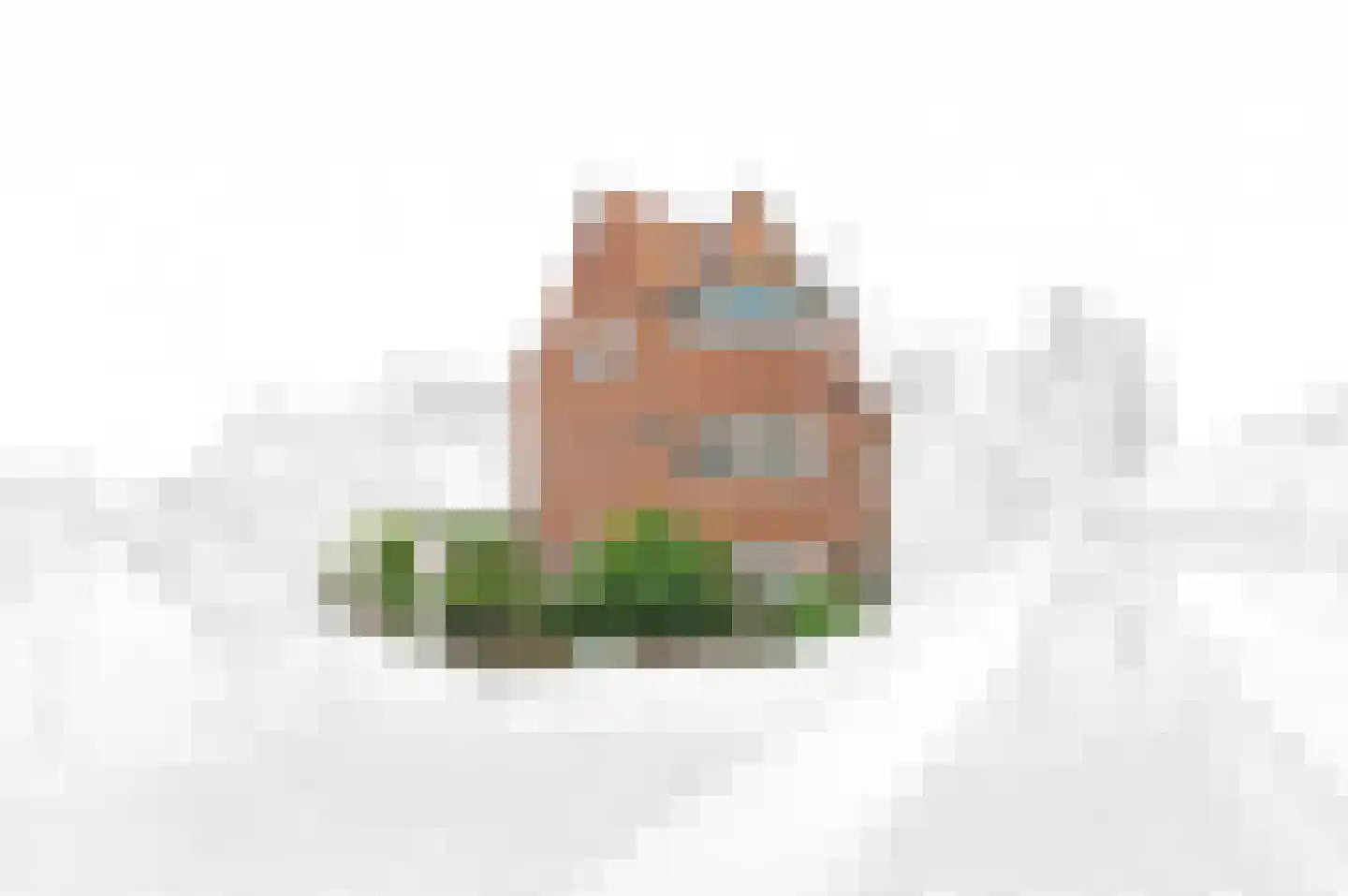 Waalsdorperweg 63 Den Haag thumbnail 4