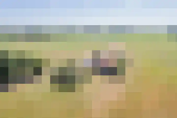 Waalseweg 2 Wijnbergen thumbnail 108