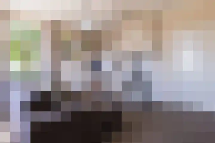 Waalseweg 2 Wijnbergen thumbnail 11