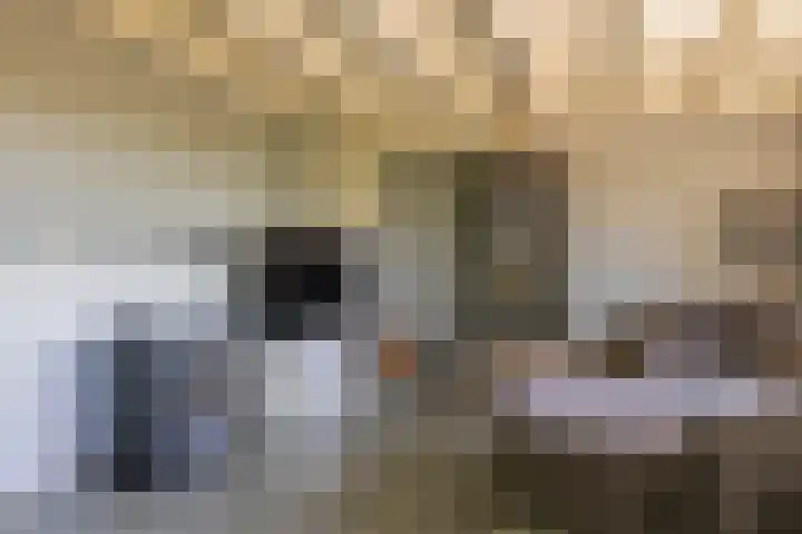 Waalseweg 2 Wijnbergen thumbnail 26