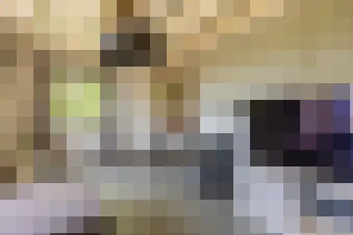 Waalseweg 2 Wijnbergen thumbnail 27