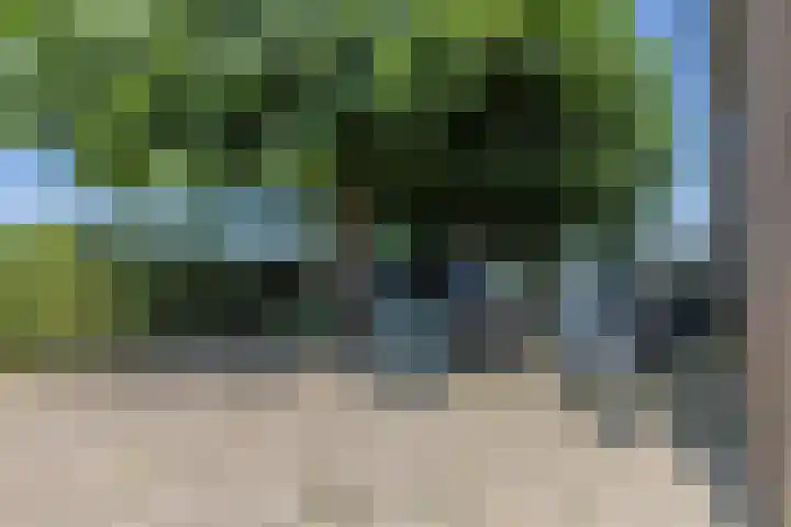 Waalseweg 2 Wijnbergen thumbnail 37