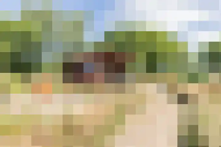 Waalseweg 2 Wijnbergen thumbnail 39