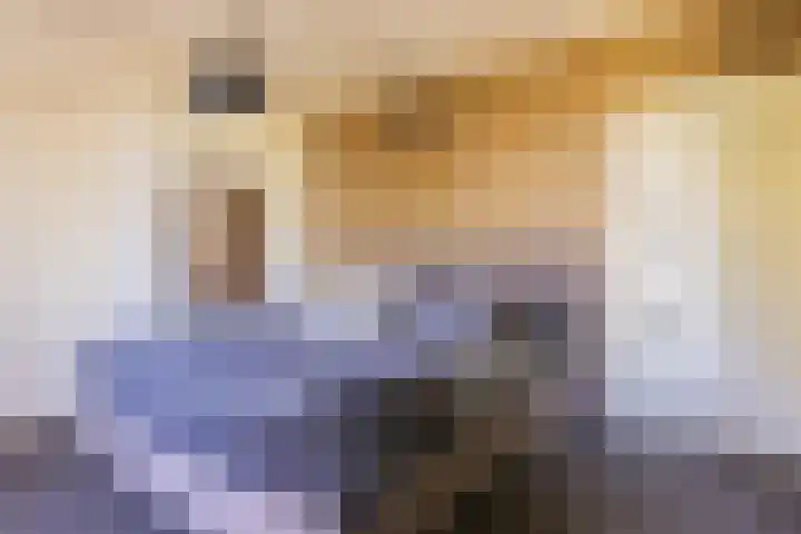 Waalseweg 2 Wijnbergen thumbnail 4