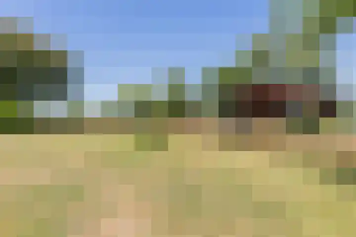 Waalseweg 2 Wijnbergen thumbnail 40
