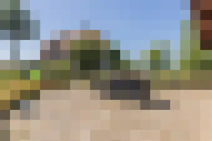 Waalseweg 2 Wijnbergen thumbnail 43
