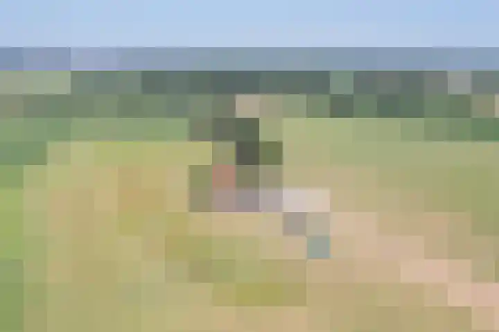 Waalseweg 2 Wijnbergen thumbnail 45