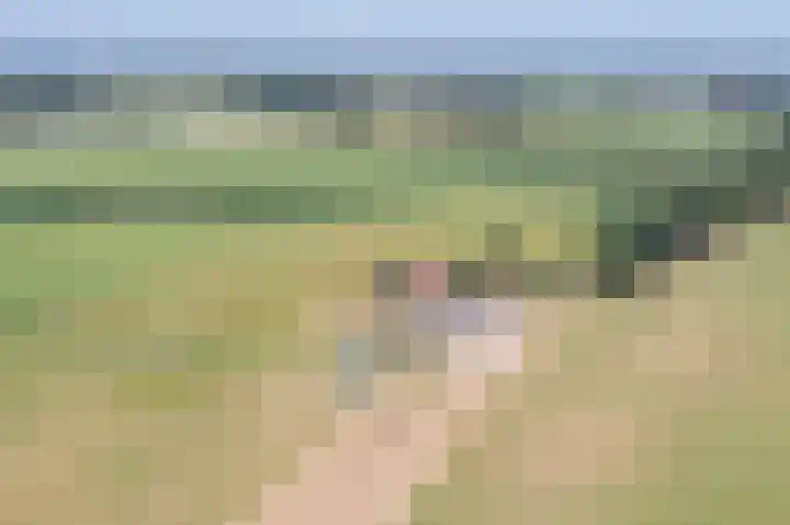 Waalseweg 2 Wijnbergen thumbnail 46