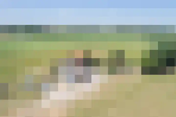 Waalseweg 2 Wijnbergen thumbnail 48
