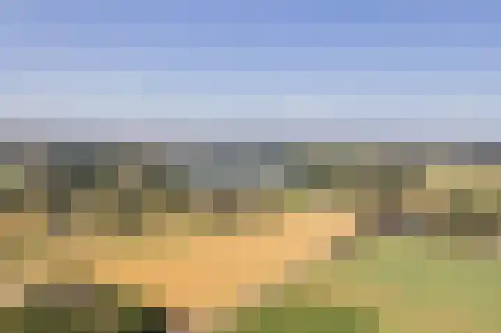 Waalseweg 2 Wijnbergen thumbnail 54