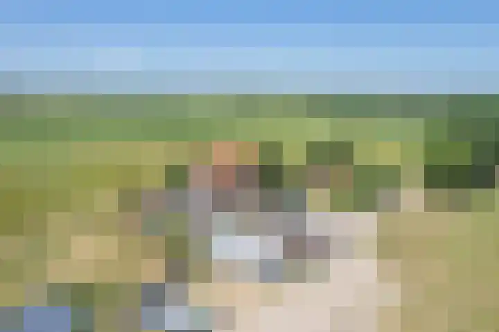 Waalseweg 2 Wijnbergen thumbnail 58