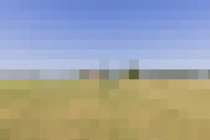 Waalseweg 2 Wijnbergen thumbnail 59