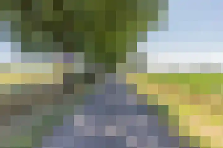 Waalseweg 2 Wijnbergen thumbnail 6