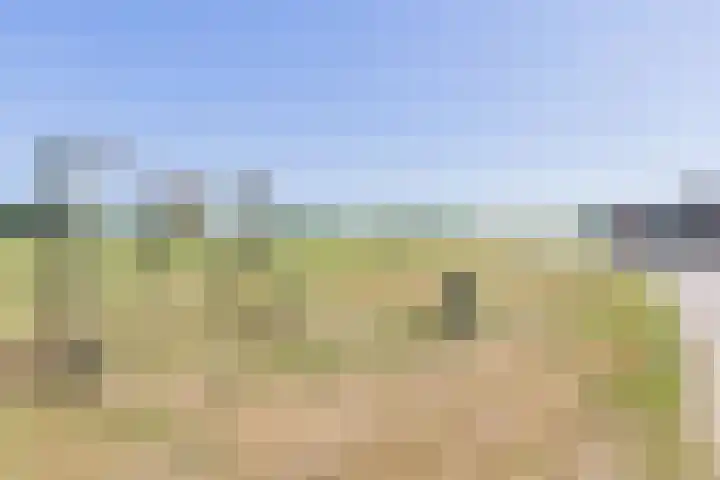 Waalseweg 2 Wijnbergen thumbnail 60
