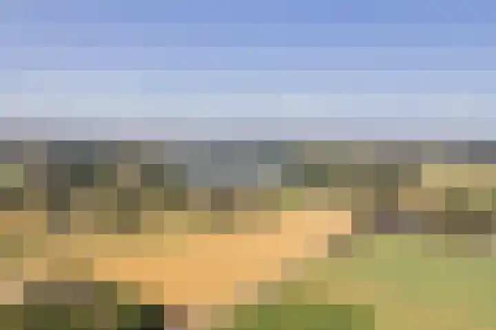 Waalseweg 2 Wijnbergen thumbnail 69