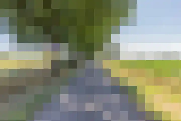 Waalseweg 2 Wijnbergen thumbnail 72