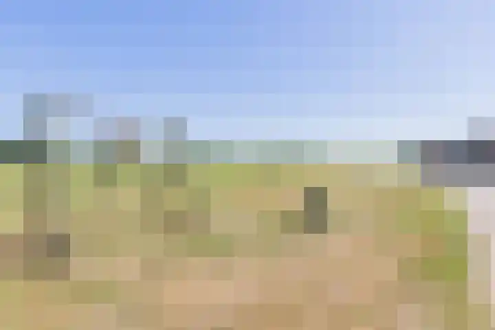 Waalseweg 2 Wijnbergen thumbnail 74