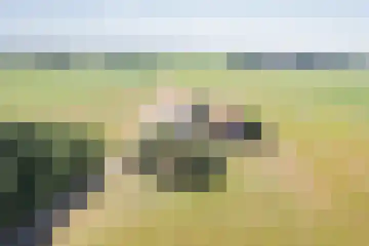 Waalseweg 2 Wijnbergen thumbnail 76
