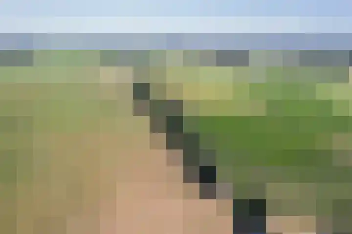 Waalseweg 2 Wijnbergen thumbnail 78