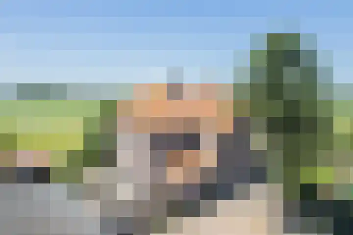 Waalseweg 2 Wijnbergen thumbnail 8