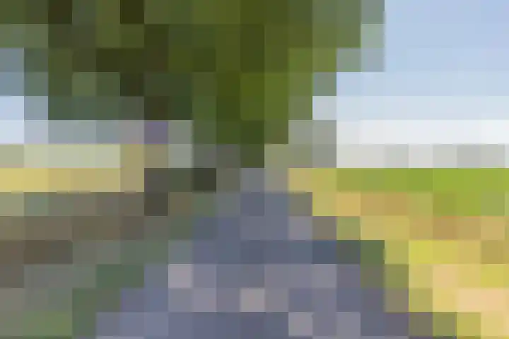 Waalseweg 2 Wijnbergen thumbnail 80