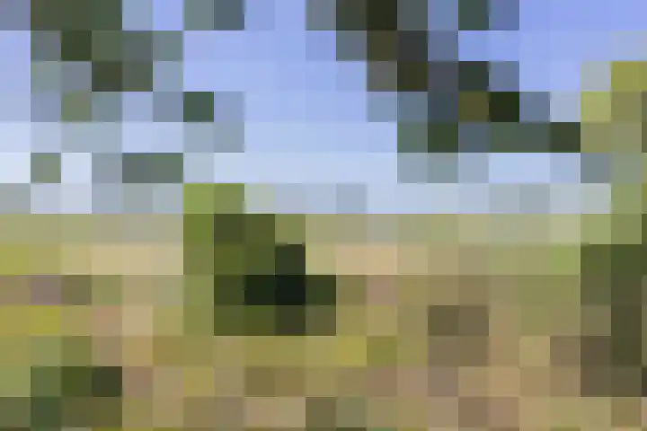 Waalseweg 2 Wijnbergen thumbnail 85