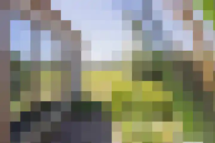 Waalseweg 2 Wijnbergen thumbnail 86