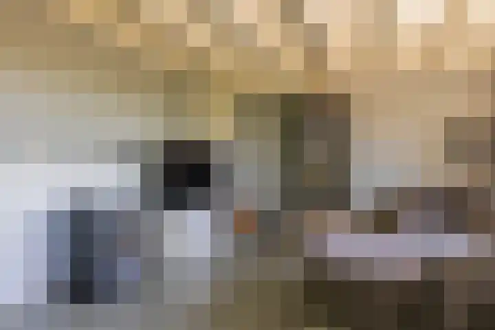Waalseweg 2 Wijnbergen thumbnail 94