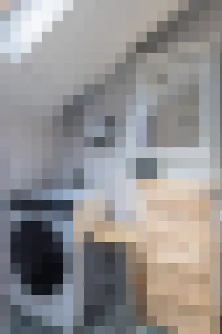 Waalseweg 2 Wijnbergen thumbnail 96