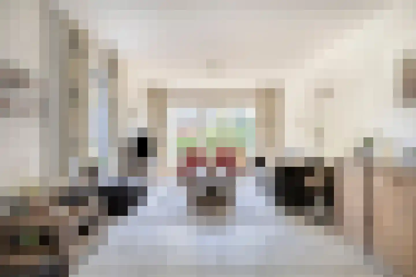 Waalseweg 27 Someren thumbnail 8